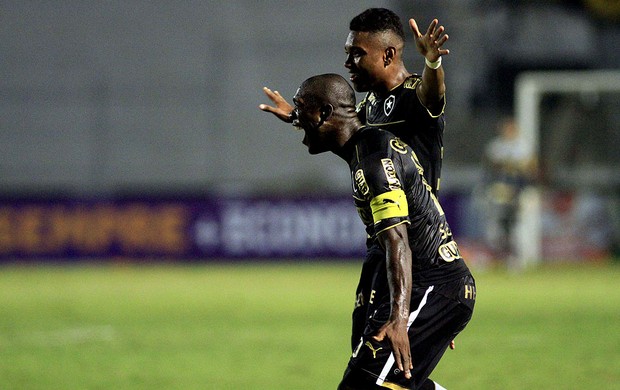 vitinho seedorf botafogo gol ponte preta brasileirão 2013 (Foto: Denny Cesare / Agência Estado)