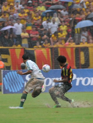 sport x palmeiras (Foto: Aldo Carneiro/ Pernambuco Press)