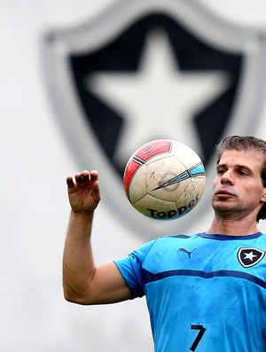 Tulio Maravilha botafogo treino (Foto: Satiro Sodre / AGIF)