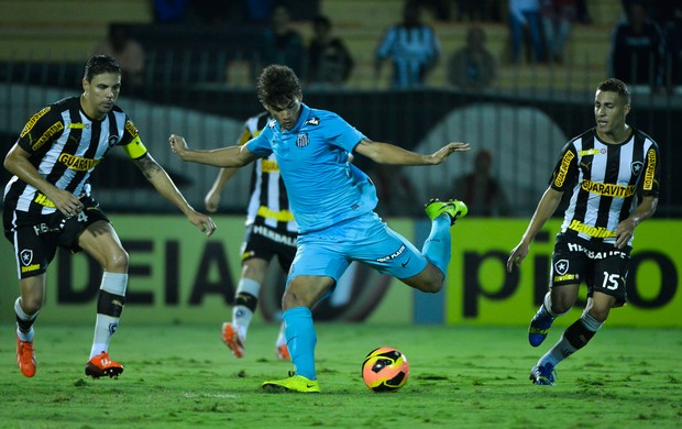 William José, Botafogo x Santos (Foto: Fernando Soutello/Agência Estado)