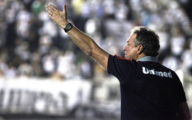 Abel Braga jogo Fluminense Olimpia (Foto: Nelson Perez / Fluminense. F.C.)