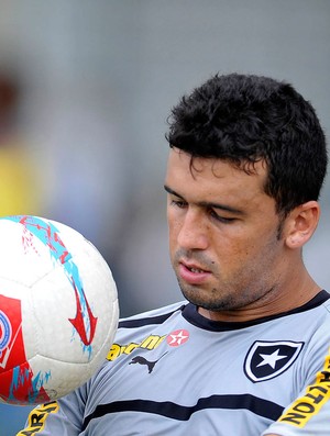 Edilson treino Botafogo (Foto: AGIF)