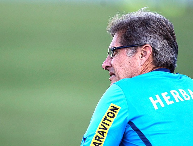 Oswaldo de Oliveira treino Botafogo (Foto: Alexandre Cassiano / Ag. O Globo)