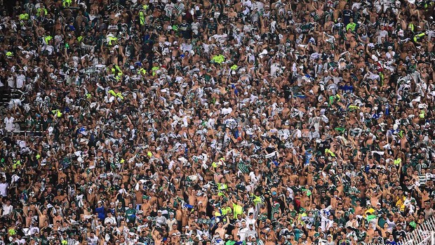 torcida festa Palmeiras jogo Libertad (Foto: Marcos Ribolli / Globoesporte.com)