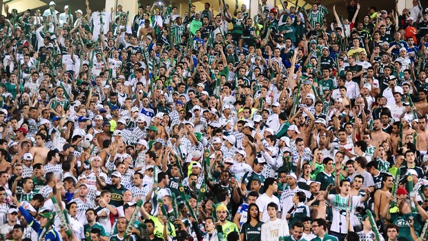 Torcida Palmeiras x Tigre (Foto: Marcos Ribolli)