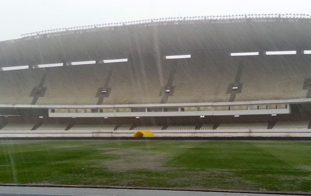 Gramado Mangueirão (Foto: Richard Souza)