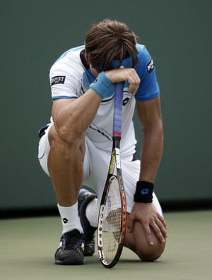 David Ferrer final Masters 1000 de Miami (Foto: Reuters)