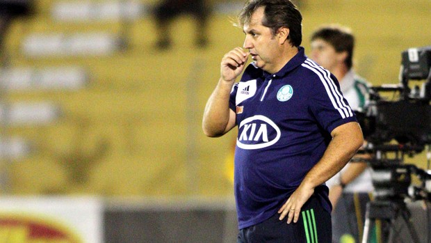 Gilson Kleina jogo Palmeiras Mirassol derrota (Foto: José Luis Silva / Agência Estado)