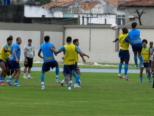 jogadores botafogo treino (Foto: Raphael Bózeo)