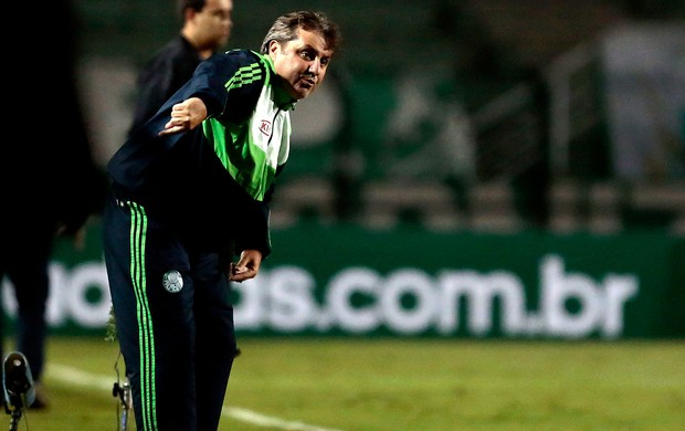 Gilson Kleina jogo Palmeiras Paulista (Foto: Miguel Schincariol / Ag. Estado)