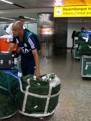 palmeiras desembarque (Foto: Marcos Bezerra/Futura Press/Agência Estado)