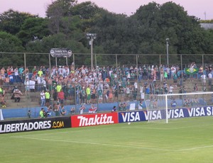 Torcida do Palmeiras no jogo contra o Libertad, em Assunção (Foto: Marcelo Prado / globoesporte.com)