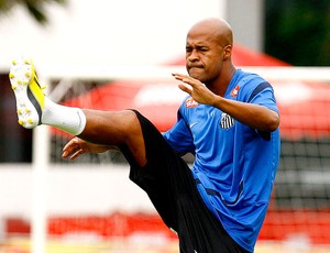 Marcos Assunção no treino do Santos (Foto: Ricardo Saibun / Divulgação Santos FC)