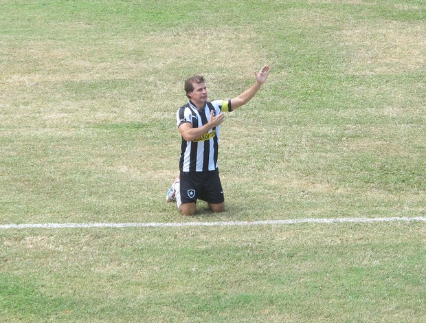 Túlio botafogo jogo (Foto: Globoesporte.com)