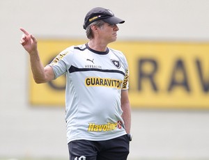 oswaldo oliveira botafogo (Foto: Alexandre Cassiano/Globo)