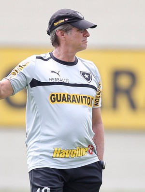 oswaldo oliveira botafogo (Foto: Alexandre Cassiano/Globo)