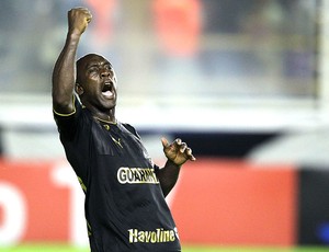 Seedorf comemora gol do Botafogo contra o Macaé (Foto: Ag. Estado)