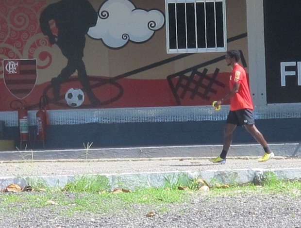 luiz antonio flamengo (Foto: Janir Junior)