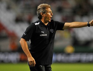 Oswaldo de Oliveira Botafogo x Fluminense (Foto: Fernando Soutello / AGIF)