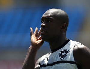 seedorf botafogo (Foto: Satiro Sodré/Agif/Agência Estado)