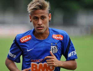 Neymar (Foto: Ivan Storti / Divulgação Santos FC)