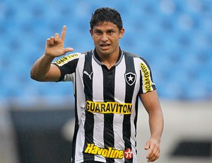 Elkeson gol Botafogo x Atlético-MG (Foto: Wagner Meier / AGIF)