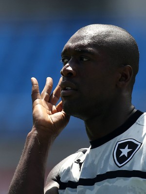 seedorf botafogo (Foto: Satiro Sodré/Agif/Agência Estado)