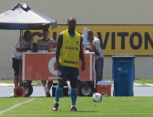 botafogo Seedorf  (Foto: Thales Soares/GLOBOESPORTE.COM)