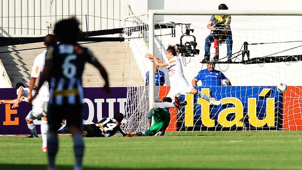 jogo Palmeiras e Botafogo (Foto: Marcos Ribolli / Globoesporte.com)