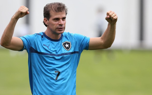 Tulio Maravilha botafogo treino (Foto: Satiro Sodre / AGIF)