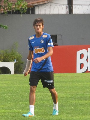 Neymar, Santos (Foto: Marcelo Hazan / Globoesporte.com)