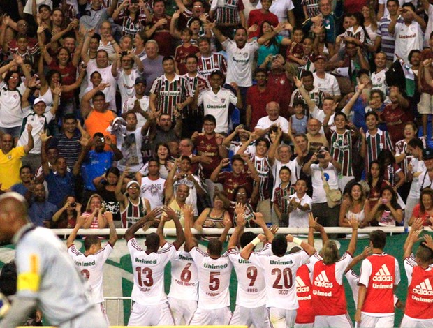 fred fluminense x botafogo (Foto: Flick Fluminense F.C.)