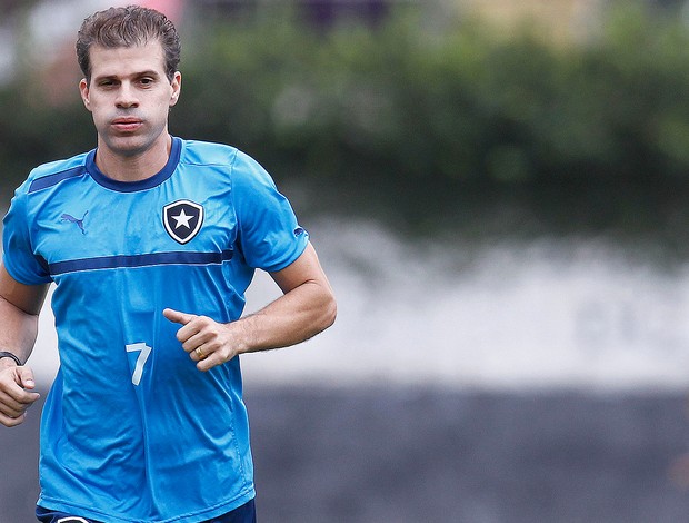 Tulio Maravilha, Botafogo (Foto: Wagner Meier / AGIF)