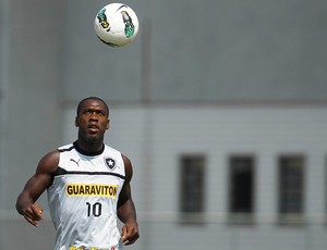 seedorf botafogo (Foto: Wagner Meier/Agif)