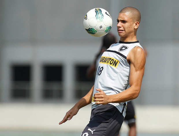 doria botafogo (Foto: Wagner Meier/Agif)