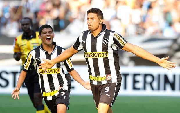 Elkeson gol Botafogo (Foto: Wagner Meier / AGIF)