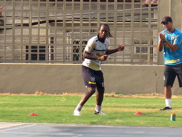 Andrezinho, Botafogo (Foto: Fred Huber / Globoesporte.com)