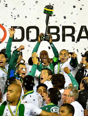 Palmeiras campeão da Copa do Brasil (Foto: Marcos Ribolli / Globoesporte.com)