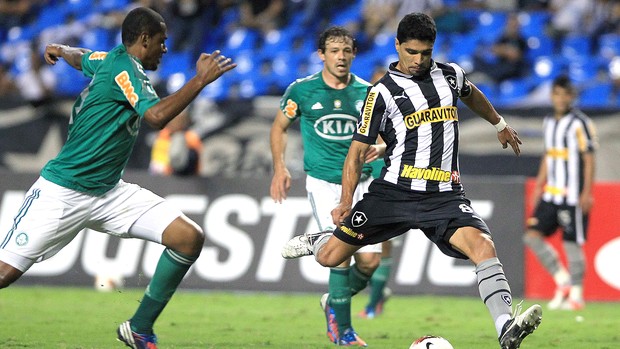 Renato, Botafogo x Palmeiras (Foto: Agência EFE)