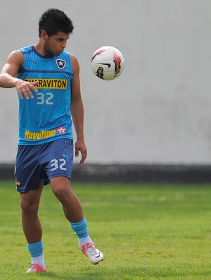 lima botafogo treino (Foto: Fábio Castro / Agif)