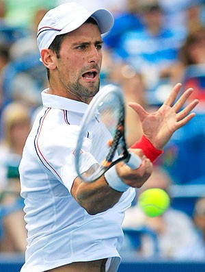 Novak Djokovic tênis Cincinnati contra Del Potro (Foto: AP)