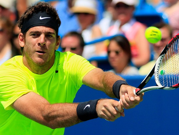 Del Potro tênis Cincinnati contra Djokovic (Foto: AP)