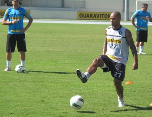 amaral botafogo (Foto: Vicente Seda / GLOBOESPORTE.COM)