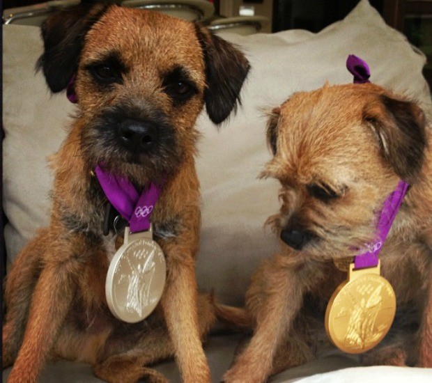 Maggie May cachorro Andy Murray medalhas (Foto: Reprodução de Twitter)