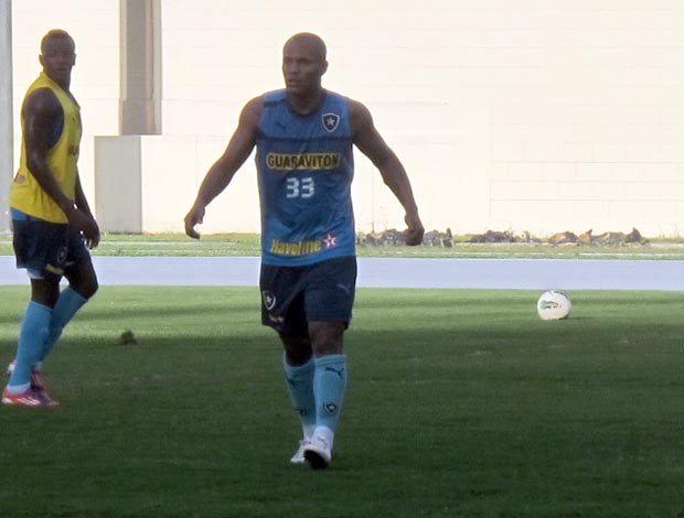 Amaral, Botafogo (Foto: André Casado / Globoesporte.com)