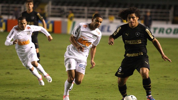 Marcio Azevedo Botafogo x santos (Foto: Lucas Baptista / Ag. Estado)