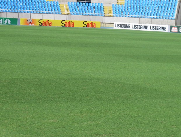 Gramado Engenhão (Foto: André Casado / Globoesporte.com)