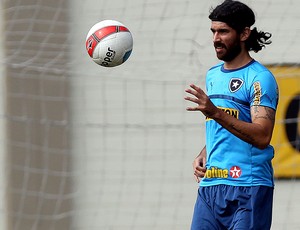 loco abreu botafogo coletiva (Foto: Fábio Castro / Agif)