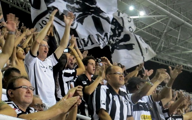 torcida botafogo seminifinal taça rio (Foto: Marcelo Baltar / Globoesporte.com)