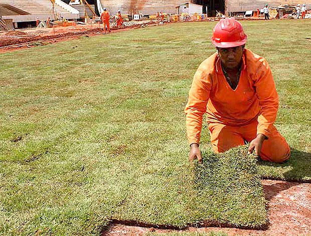 estádio de Brasília com grama para jogo dos operários (Foto: Vianey Bentes/TV Globo)